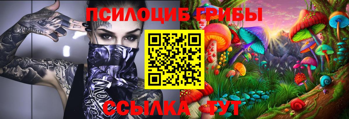 Подольск  купить   Вход с VPN  Галлюциногенные грибы Cubensis  Галлюциногенные грибы MAGIC MUSHROOMS 