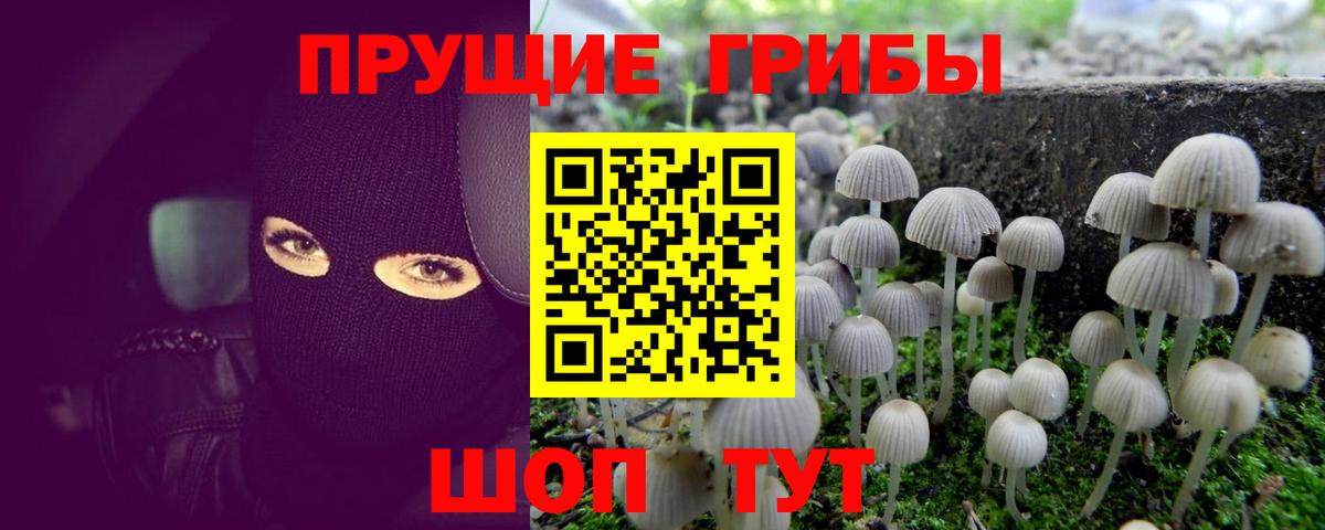 Псилоцибиновые грибы Magic Shrooms Подольск